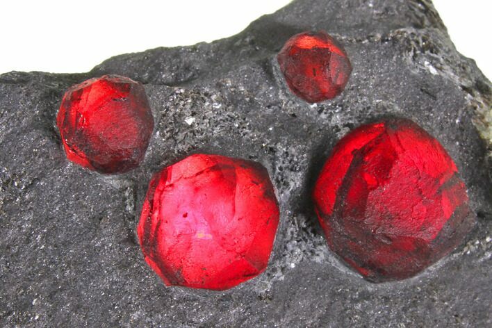 Plate of Five Red Embers Garnets in Graphite - Massachusetts #148144